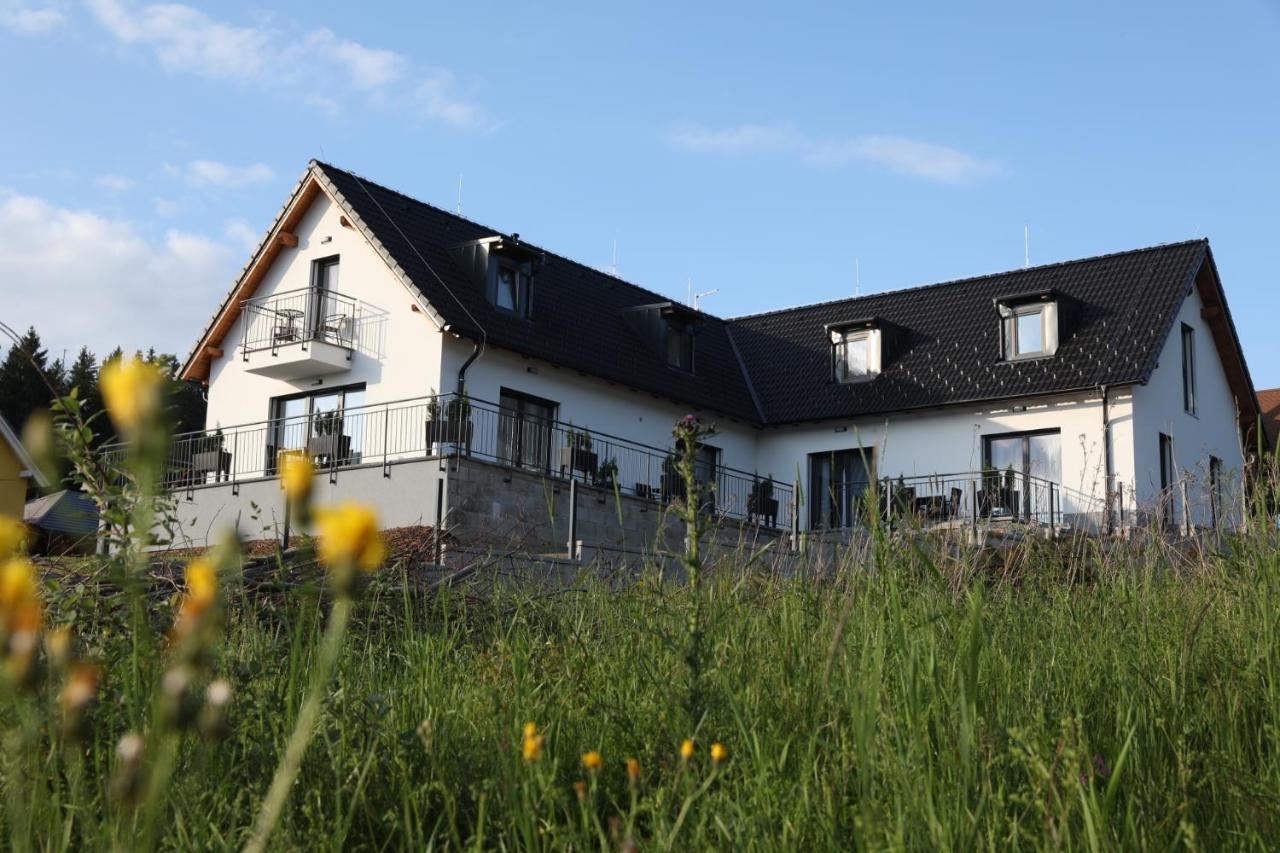 Apartmany Allis Lipno nad Vltavou Zewnętrze zdjęcie