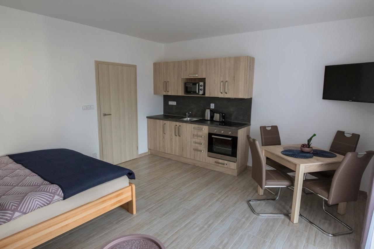 Apartmany Allis Lipno nad Vltavou Zewnętrze zdjęcie