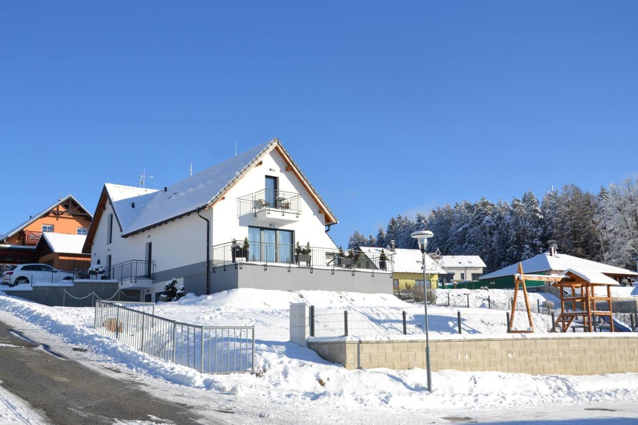 Apartmany Allis Lipno nad Vltavou Zewnętrze zdjęcie